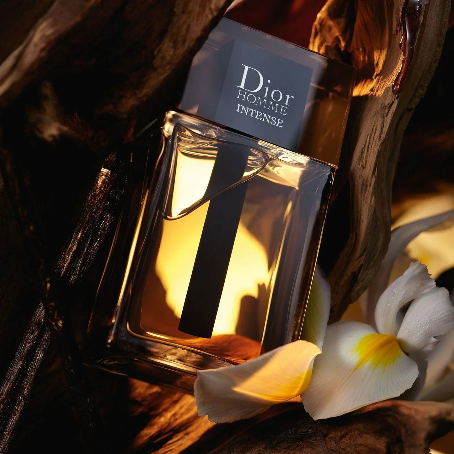 Dior – Homme Intense (Eau de Parfum)