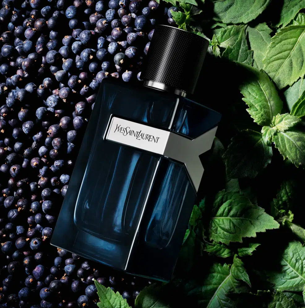 Yves Saint Laurent – Y Eau de Parfum (EDP)