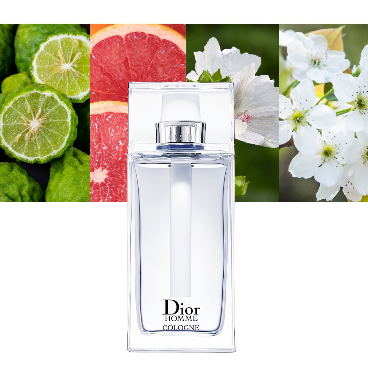 DIOR – Homme Cologne (Eau de Cologne)