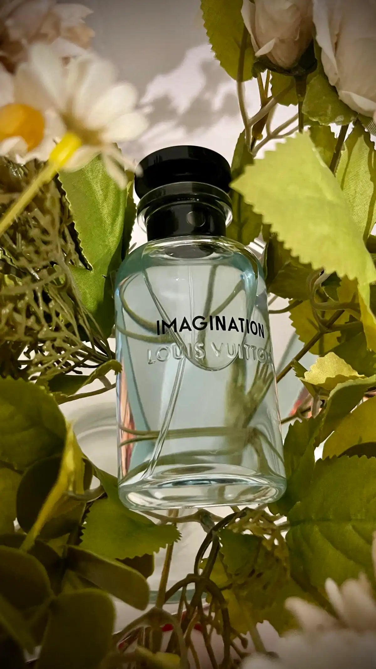 Louis Vuitton Imagination